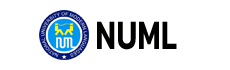 National University of Modern Languages