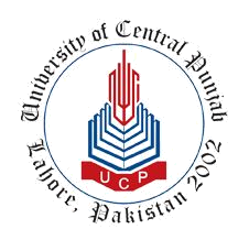University of Central Punjab