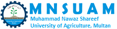 MNS University of Agriculture Multan